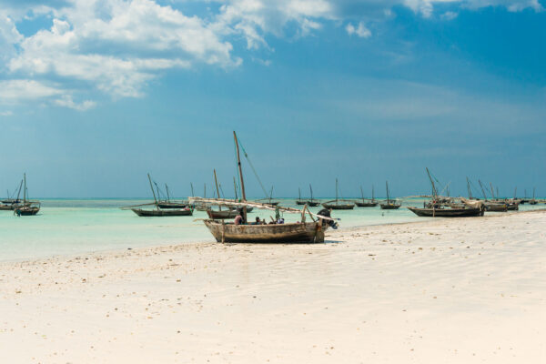 9-Day Tanzania Safari & Zanzibar Holiday: Arusha, Tarangire, Serengeti, Ngorongoro, Lake Manyara & Zanzibar