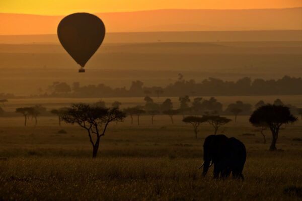 6-Day Tanzania Safari: Tarangire Giants, Ngorongoro Wonders & the Serengeti Migration